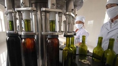 주문을 받아서 만들어진 포도주 충전물 기계/술병 장비/술병 충전물